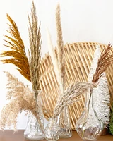 Plume Reeds -Brown