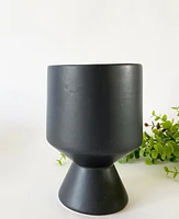 David Plant Pots