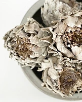 Dried Artichokes - Grey