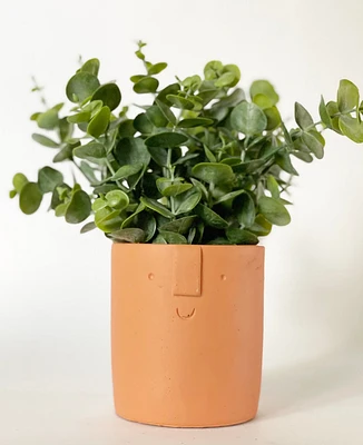 Happy Plant Pot