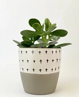 Dottie Mug and Plant Pot Collection