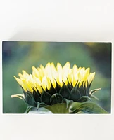 Angel Anderson Floral Canvas Prints