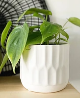 Denmark Plant Pot