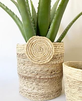 Juniper Baskets