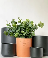 Kendall Black Pot Collection