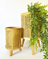 Bamboo Planters