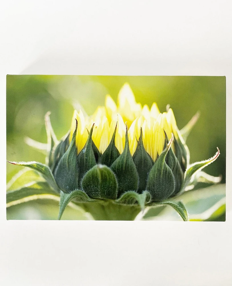 Angel Anderson Floral Canvas Prints