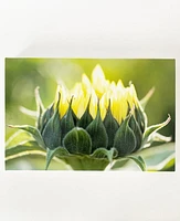 Angel Anderson Floral Canvas Prints