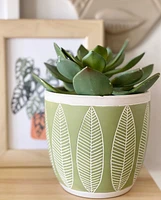 Amazon Plant Pot -Green