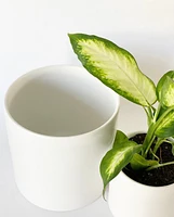 Cercle Plant Pot Collection