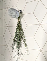 Eucalyptus Shower Bundle