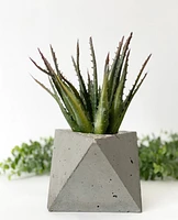 Edgy Cement Pots