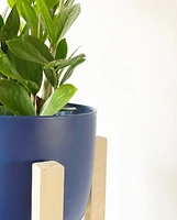 Bumble Plant Pot