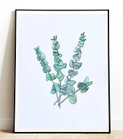 Eucalyptus Bunch Art Print