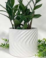 Gala Glazed Plant Pots