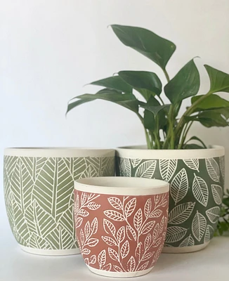 Amazon Plant Pots