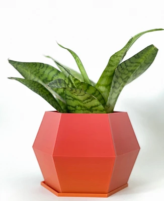 Sijo Plant Pots -Red