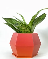 Sijo Plant Pots -Red