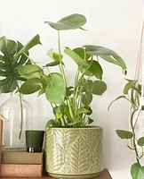 Green Leaf Plant Pot