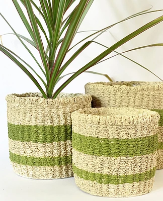 Juno Plant Pots