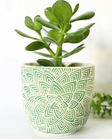 Lotus Plant Pots