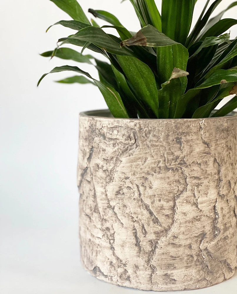 Bark Plant Pot