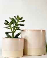 Angela Plant Pots