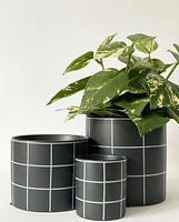 Pepper Plant Pot -Black