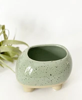 Pebble Plant Pot