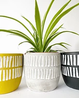 Millie Plant Pots