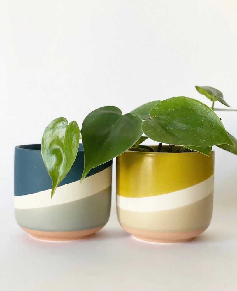 Colorway Pots