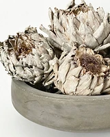 Dried Artichokes - Grey