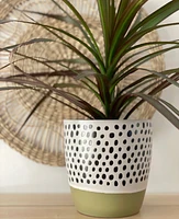 Olive Plant Pot -Green