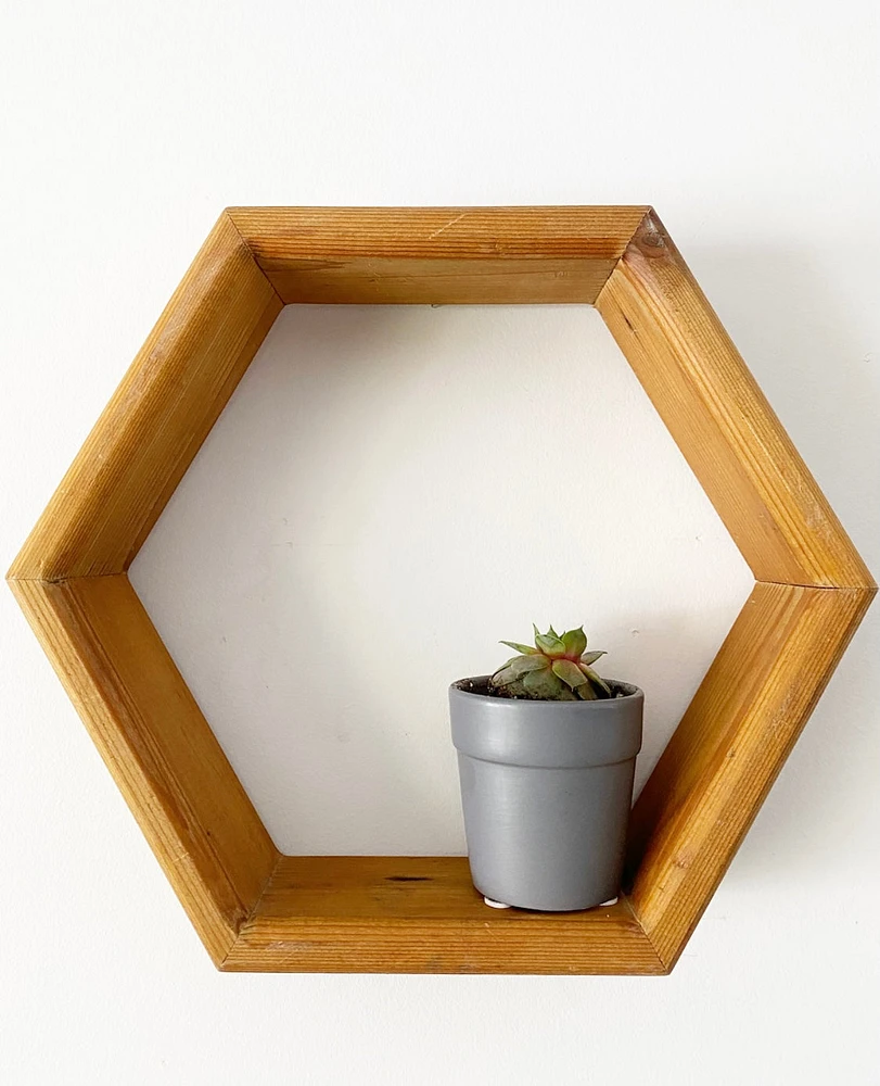 Hexagon Wall Shelves