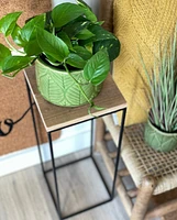 Green Leaf Plant Pot