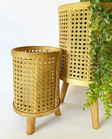 Bamboo Planters