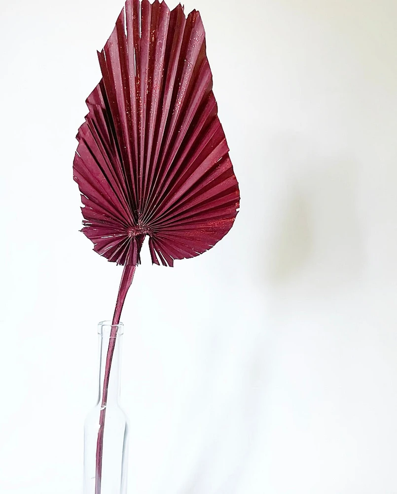 Dried Palm Leaf -Red