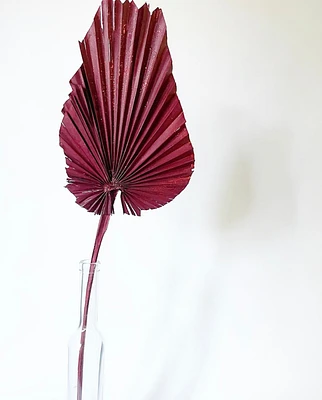 Dried Palm Leaf -Red