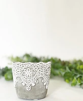 Lace Plant Pot