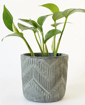 Weave Plant Pot