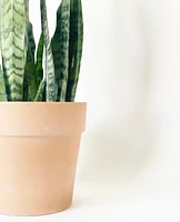 Calima Plant Pot