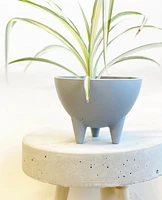 Carli Plant Pot