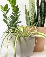 Calima Plant Pot