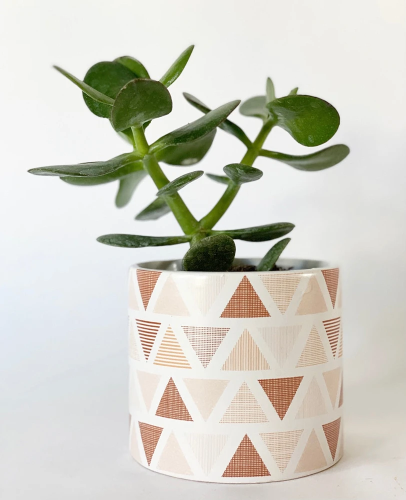 Pink Triangle Pot