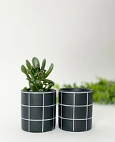 Pepper Plant Pot -Black