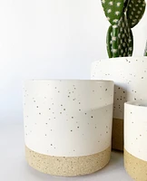 Sandstone Plant Pots