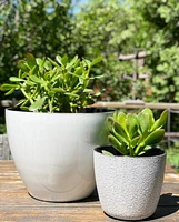 Textured Pots