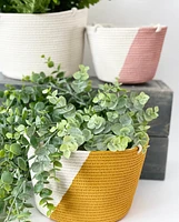 Hanging Plant Baskets