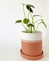 Hadley Plant Pot