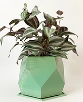 Sijo Plant Pots -Green